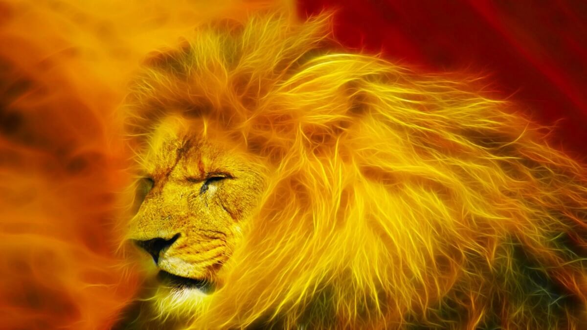 Lion of Yahudah